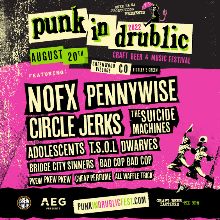 Punk in Drublic Festival